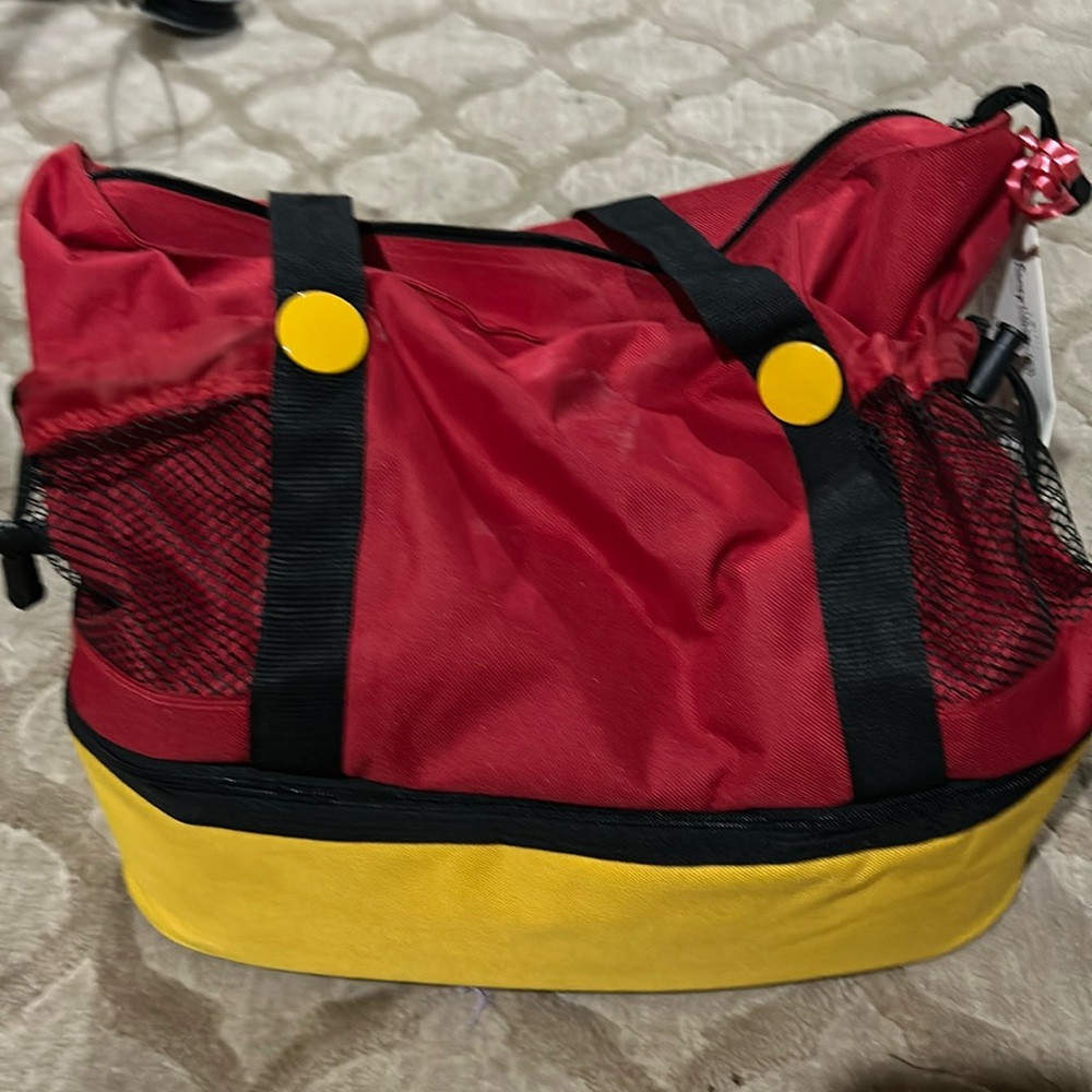 Mickey Mouse bag